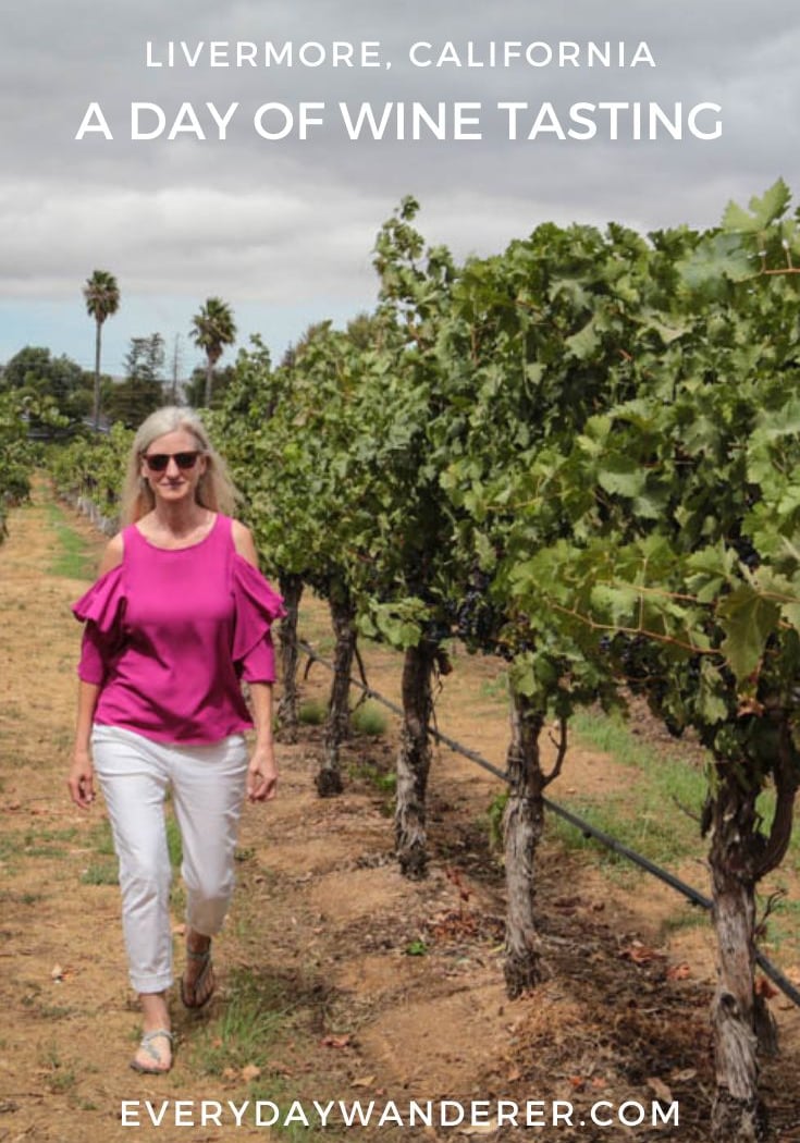 Wine Tasting 4